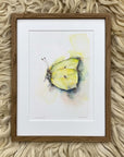 Citronsommerfugl | Fine Art Giclée kunsttryk