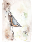 Spætmejse | Fine Art Giclée kunsttryk