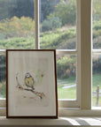 Blåmejse | Fine Art Giclée kunsttryk