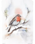 Rødhals | Fine Art Giclée kunsttryk