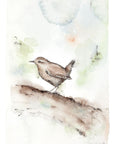Gærdesmutte | Fine Art Giclée kunsttryk