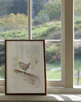 Gærdesmutte | Fine Art Giclée kunsttryk