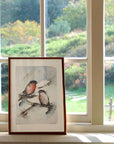 Dompapper | Fine Art Giclée kunsttryk