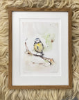 Blåmejse | Fine Art Giclée kunsttryk