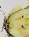 Citronsommerfugl | Fine Art Giclée kunsttryk