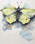 Citronsommerfugl | Fine Art Giclée kunsttryk