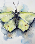 Citronsommerfugl | Fine Art Giclée kunsttryk