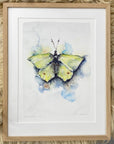 Citronsommerfugl | Fine Art Giclée kunsttryk