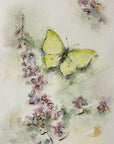 Citronsommerfugl | Original akvarel