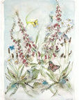 Digitalis og lancet-vejbred | Original akvarel