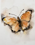 Dukatsommerfugl | Fine Art Giclée kunsttryk