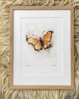 Dukatsommerfugl | Fine Art Giclée kunsttryk