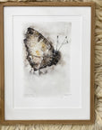 Tidselsommerfugl | Fine Art Giclée kunsttryk