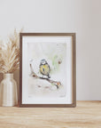 Blåmejse | Fine Art Giclée kunsttryk
