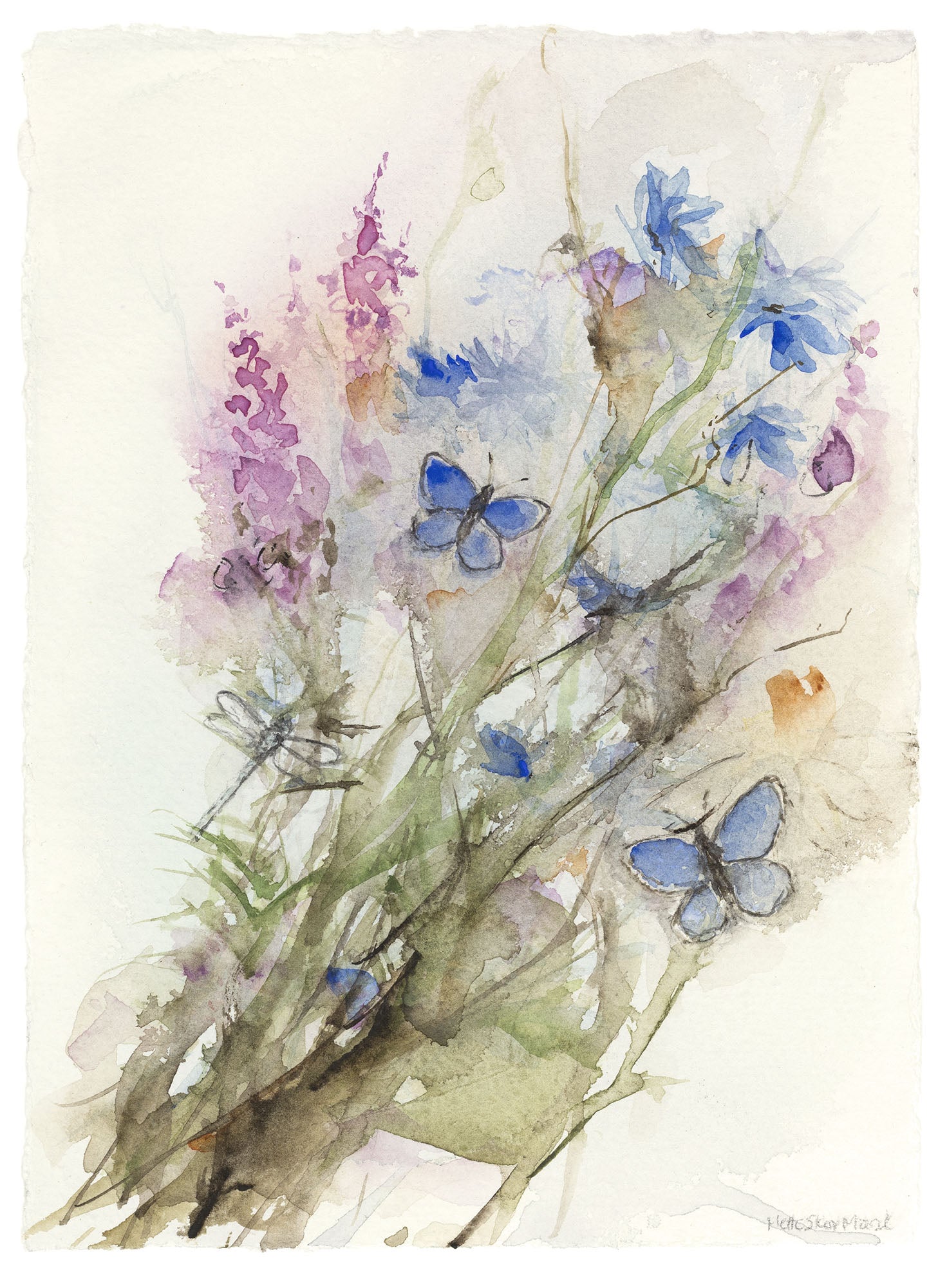 Blomsterliv II |  Gederams og blåfugle | Kunsttryk