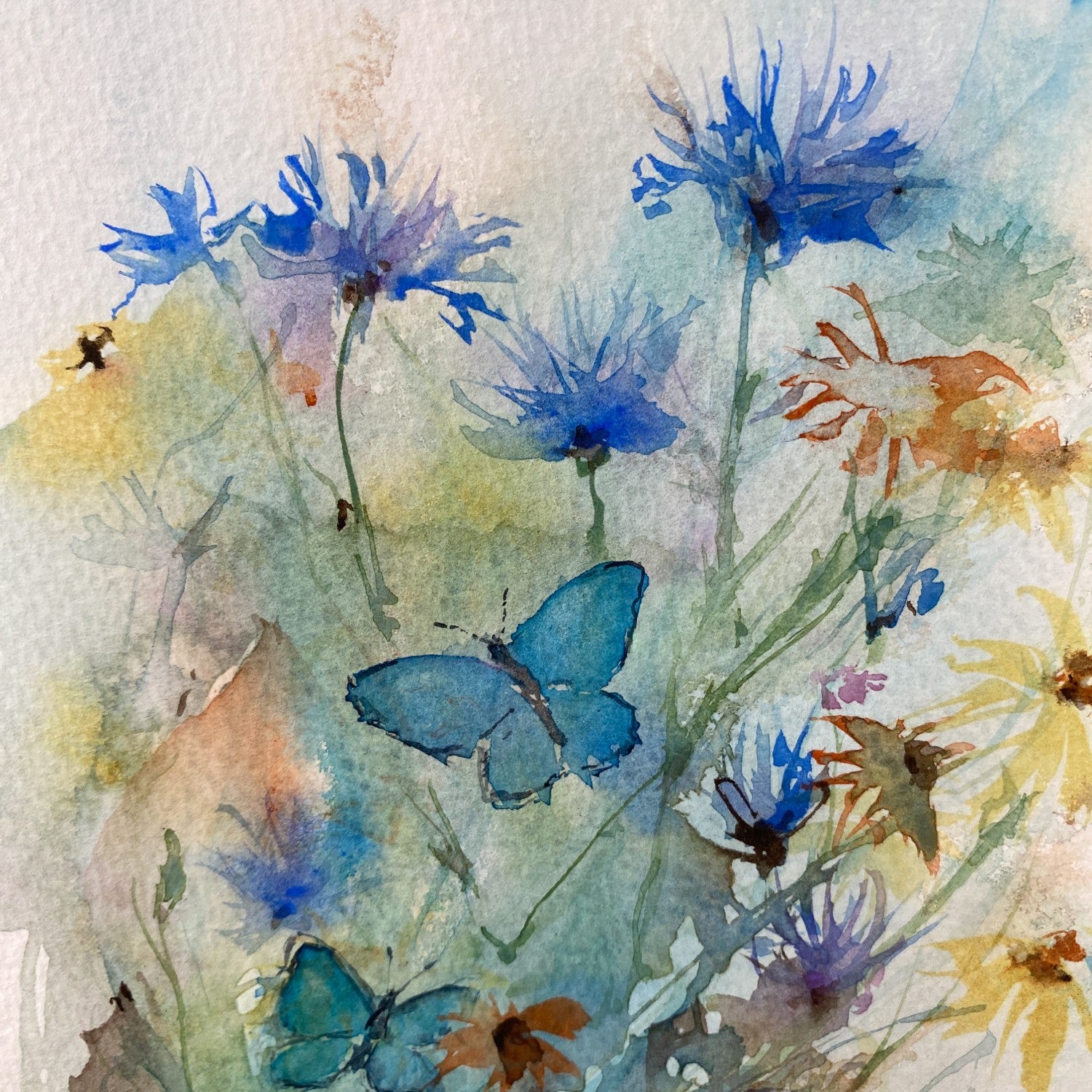 Kornblomster og blåfugle | Original akvarel