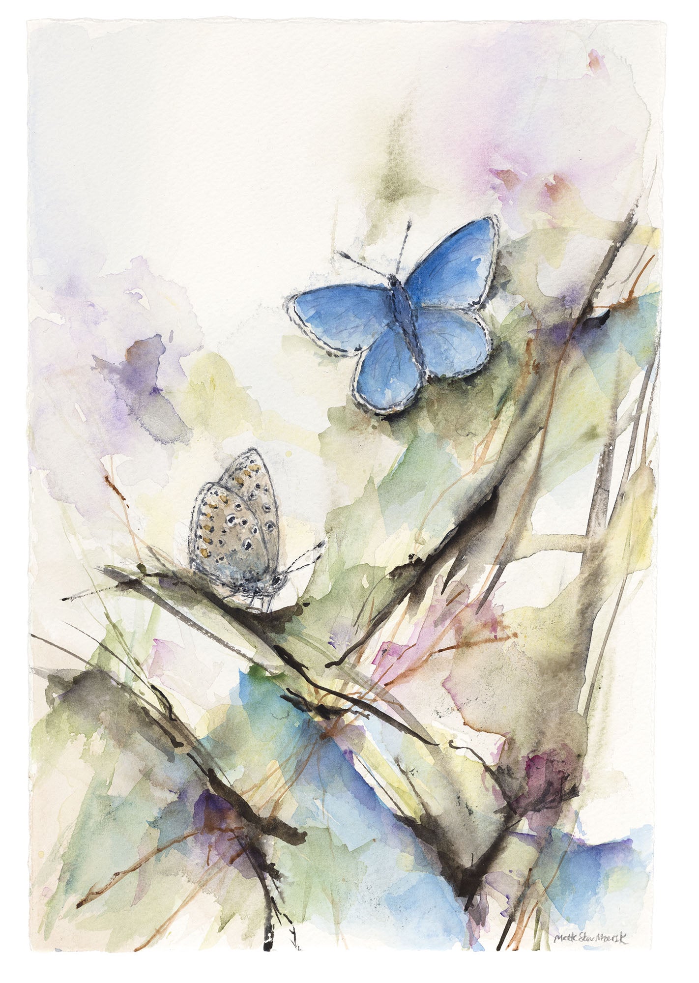 Blomsterliv IV |  Blåfugle | Kunsttryk