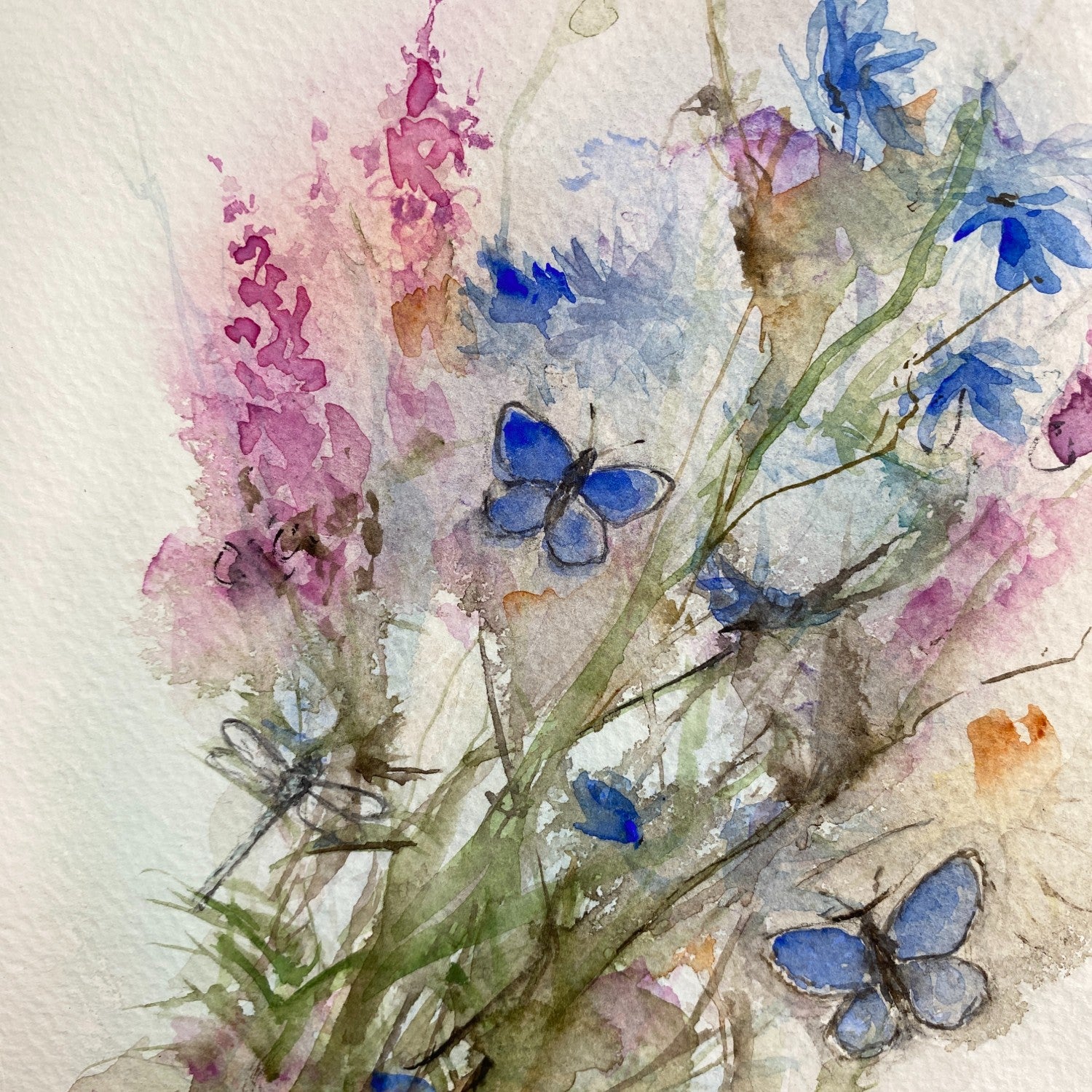 Akvarel med blomster gederams og kornblomst, lyserøde og blå farver. samt to blå sommerfugle og en guldsmed. 