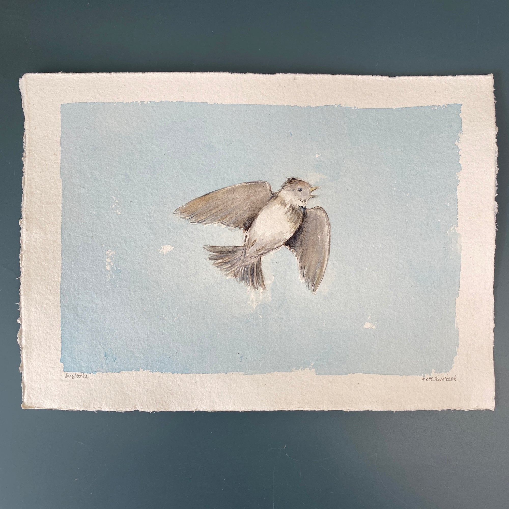 Sanglærke | Original akvarel