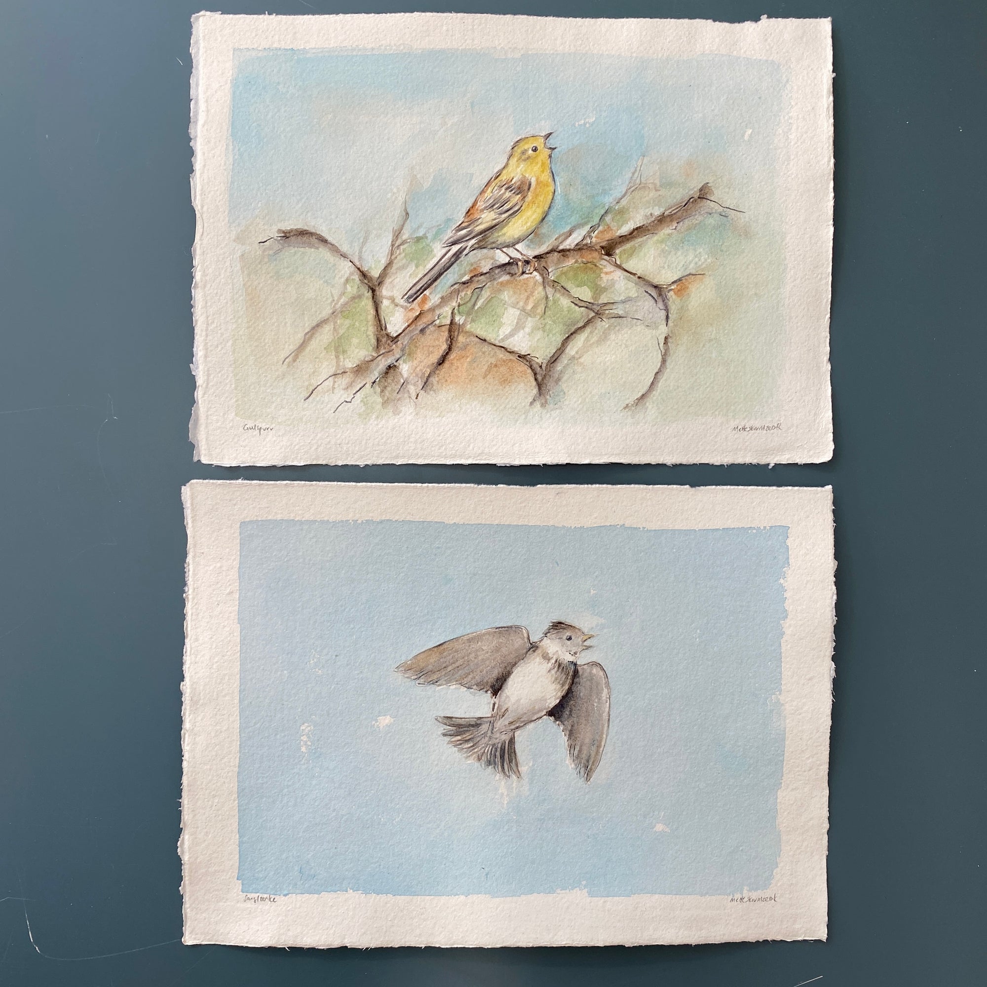Sanglærke | Original akvarel