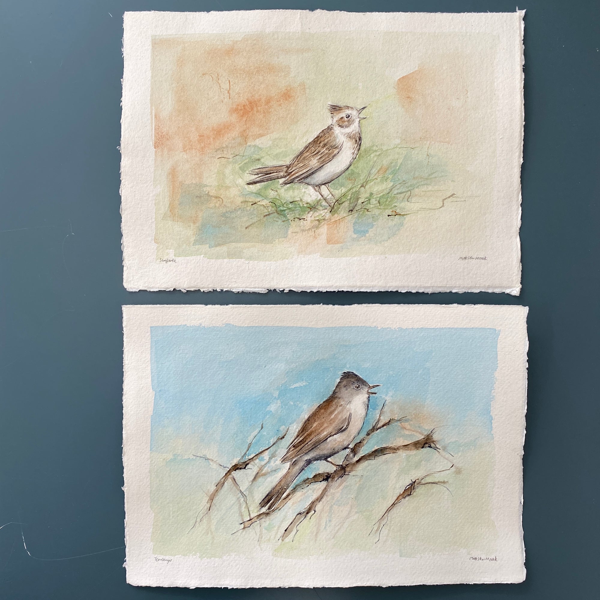 Sanglærke | Original akvarel