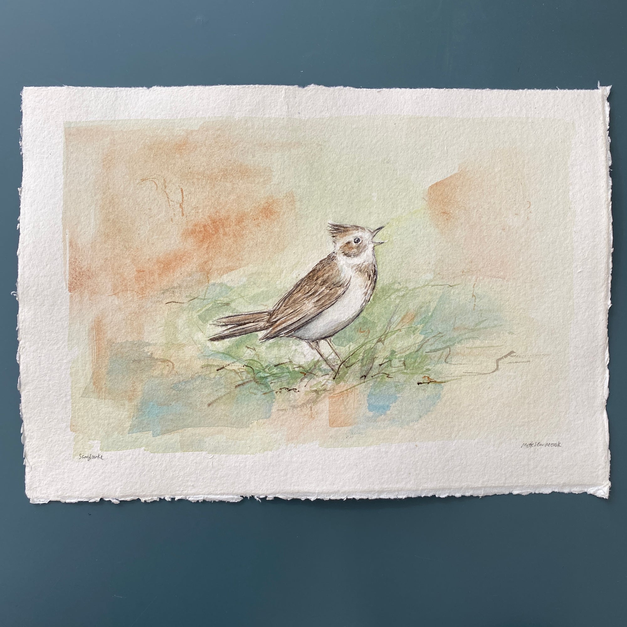 Sanglærke | Original akvarel