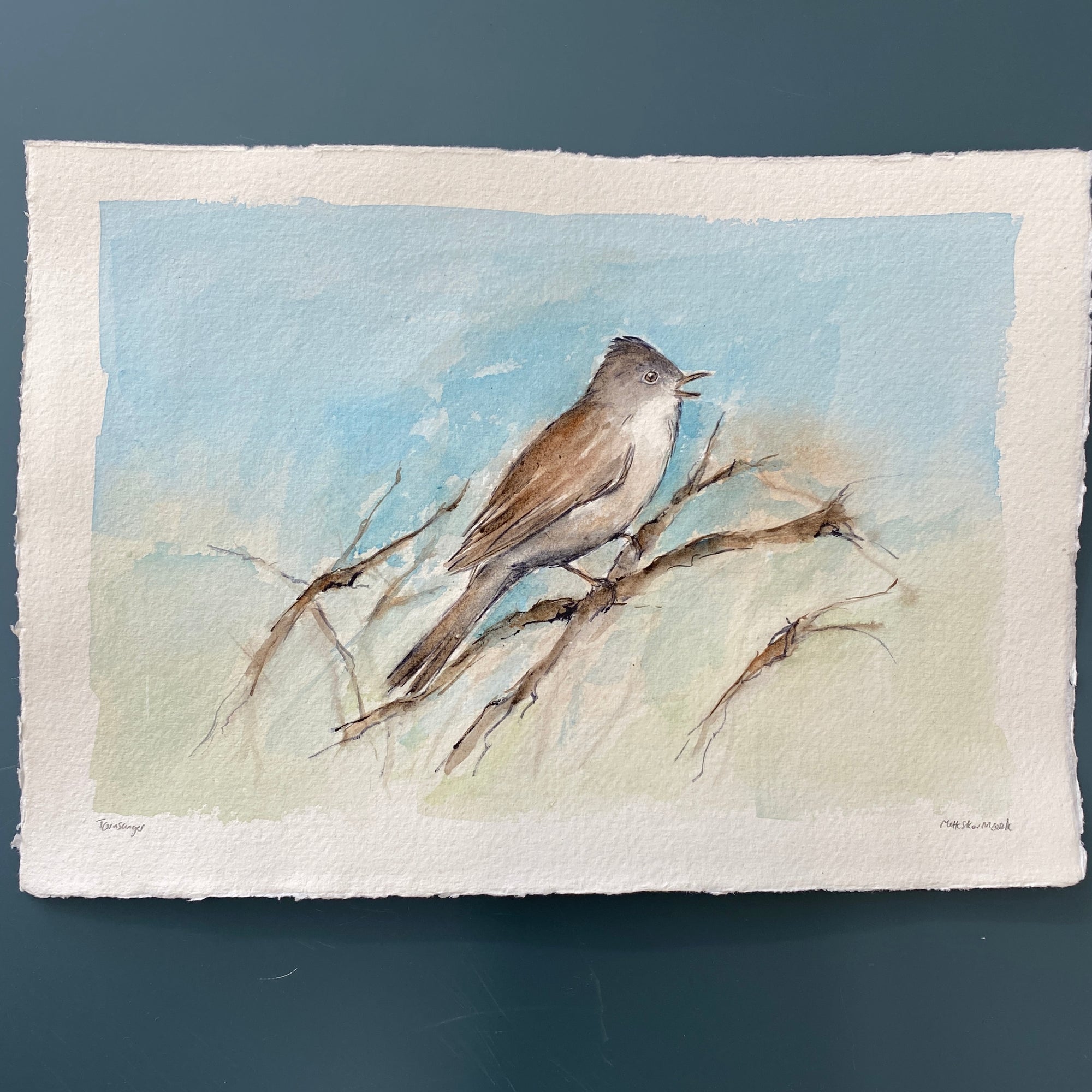 Tornsanger | Original akvarel