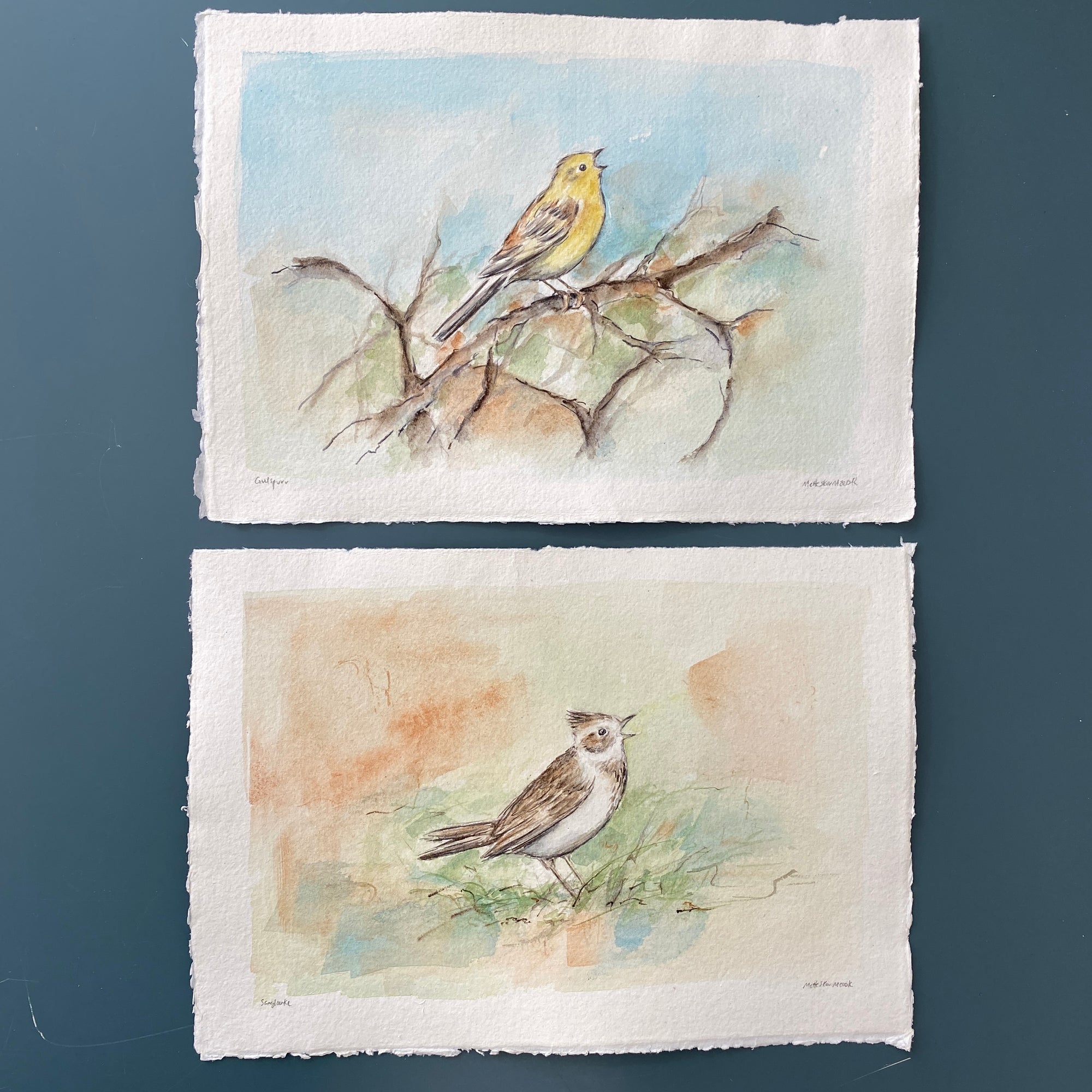 Sanglærke | Original akvarel
